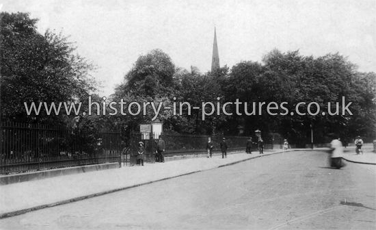 Clissold Park, Stoke Newington, London. c1908